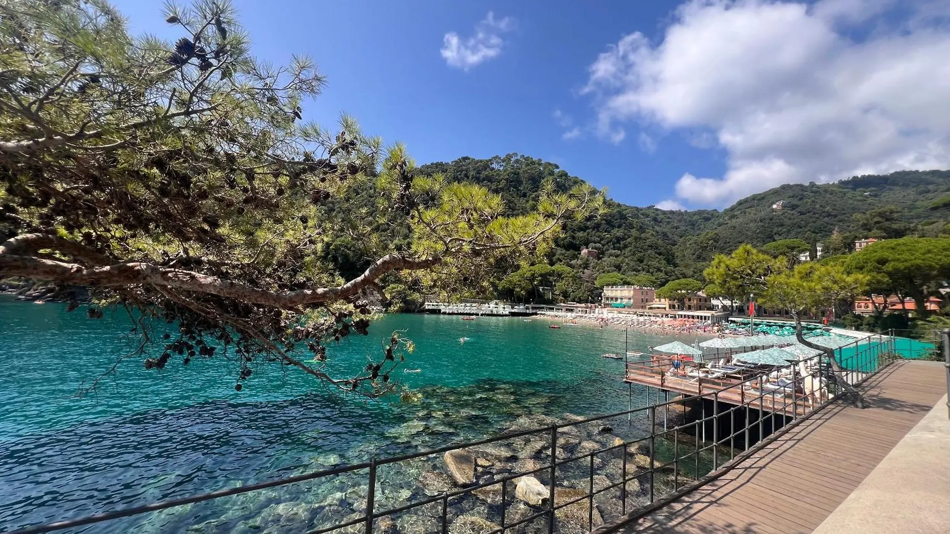 Blue Dolphin Apartment Portofino